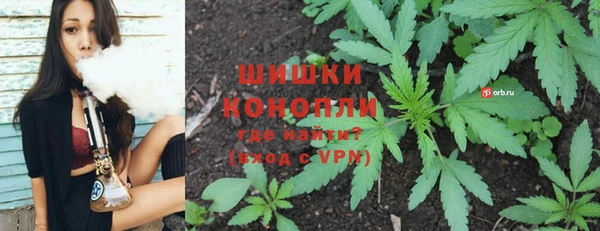спиды Аркадак