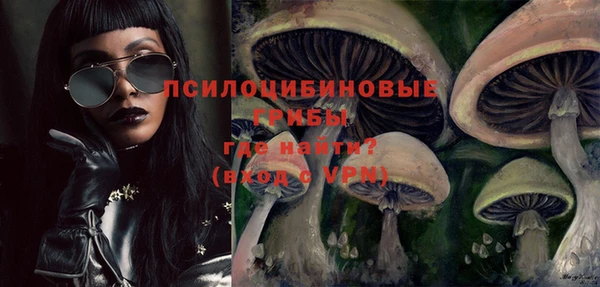 тгк Армянск