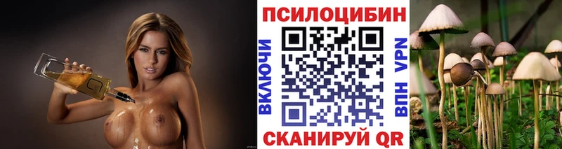 как найти   darknet официальный сайт  Галлюциногенные грибы ЛСД  Райчихинск 